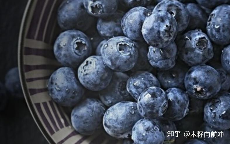 蓝莓种植技术视频