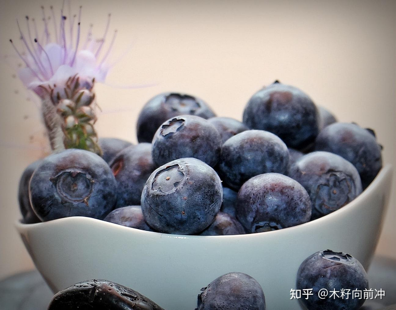 蓝莓种植技术视频