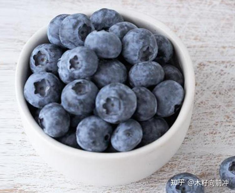 蓝莓种植技术视频