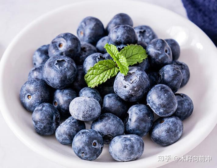 蓝莓种植技术视频