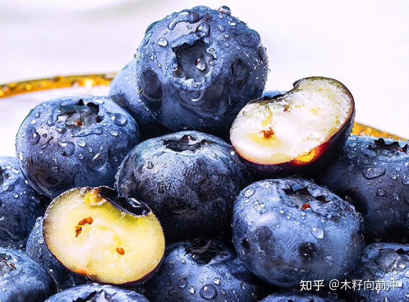 蓝莓种植技术视频