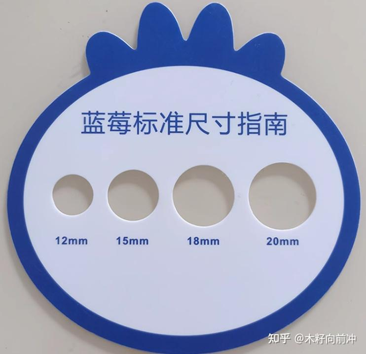 蓝莓种植技术视频