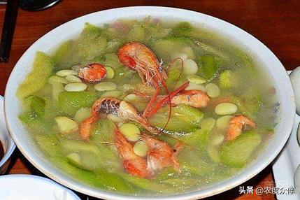 Green eggplant cultivation techniques