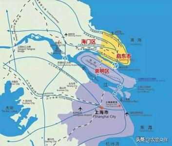 Green eggplant cultivation techniques