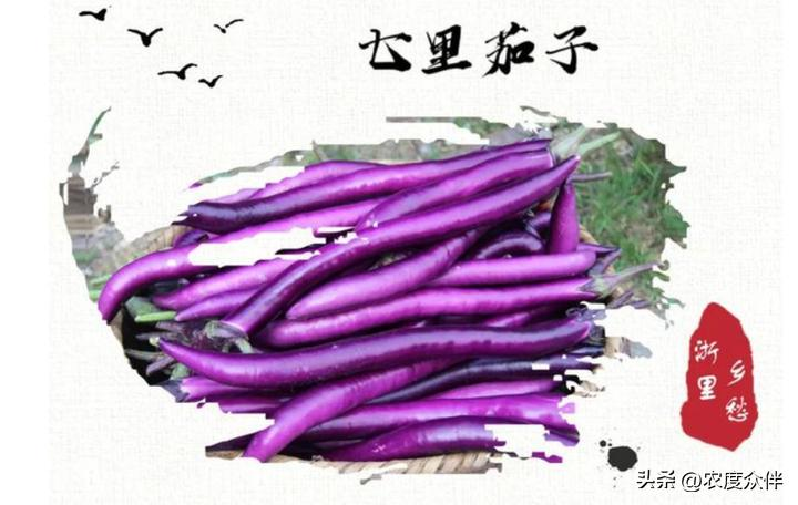 Green eggplant cultivation techniques