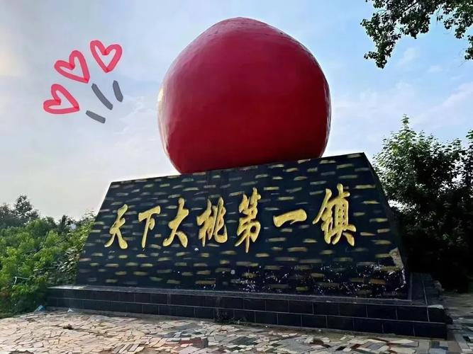 猕猴桃种植技术