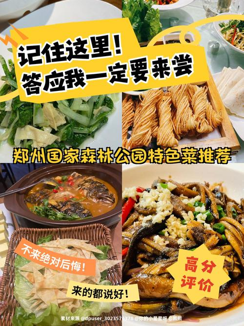 大棚甜瓜种植技术视频