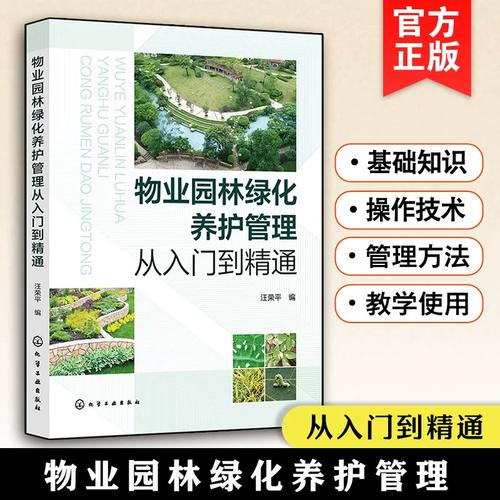 新疆种文冠果树怎么种植
