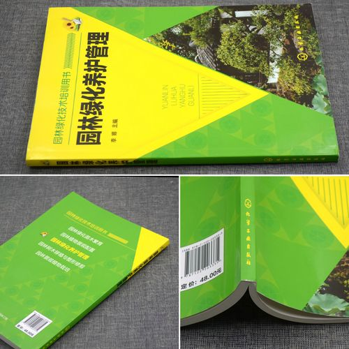 新疆种文冠果树怎么种植