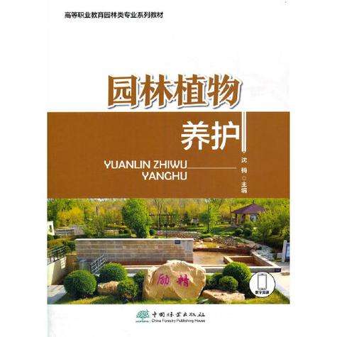 新疆种文冠果树怎么种植