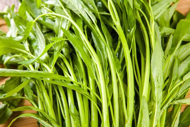 Technology for the cultivation of empty cabbage