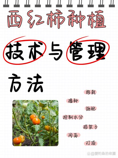 Southern tomato cultivation techniques