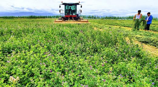 Straw cultivation methods