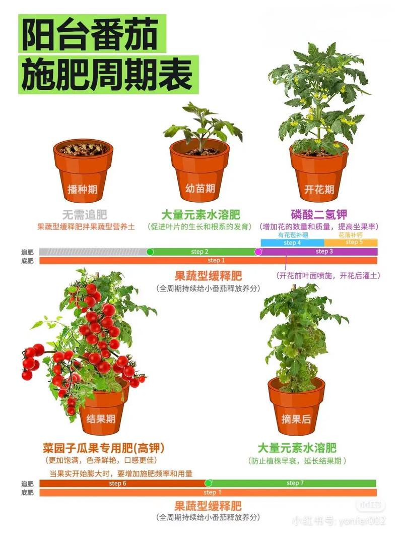 Southern tomato cultivation techniques
