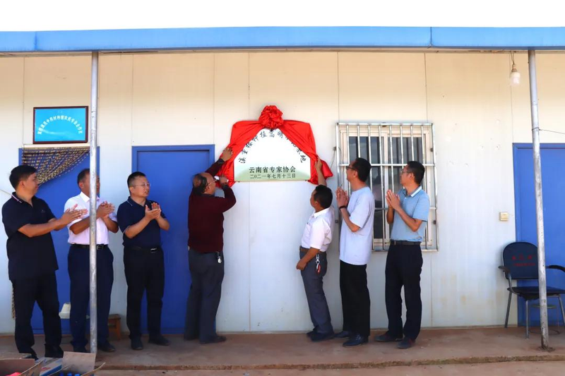 滇重楼种植技术