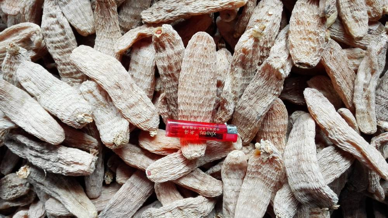 Zhao ting tianqing plantation technology