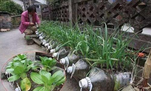 How do you grow the pots