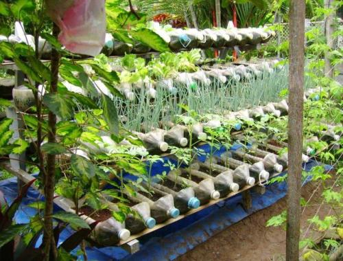 How do you grow the pots