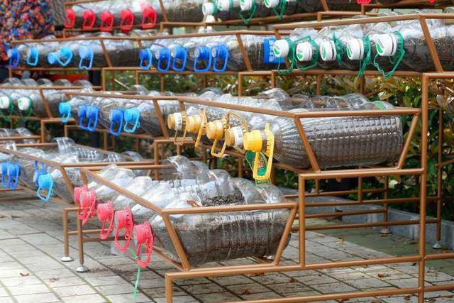 How do you grow the pots