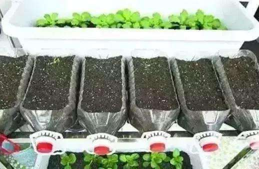 How do you grow the pots