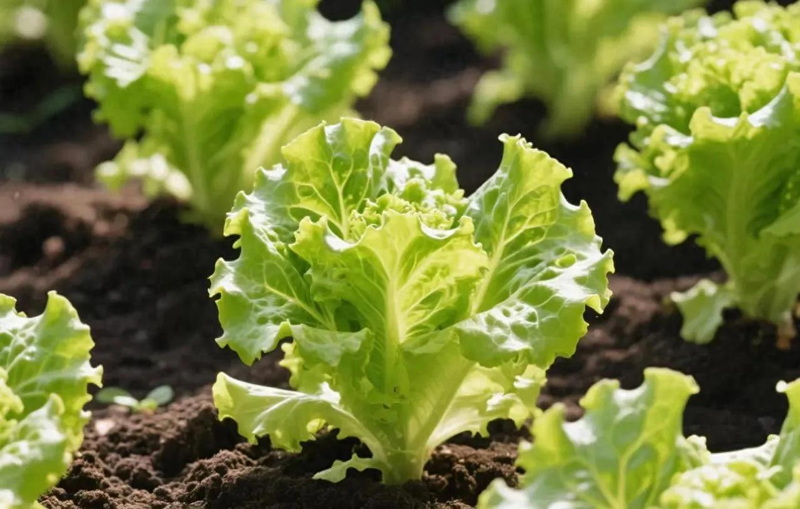 How do you grow the pots