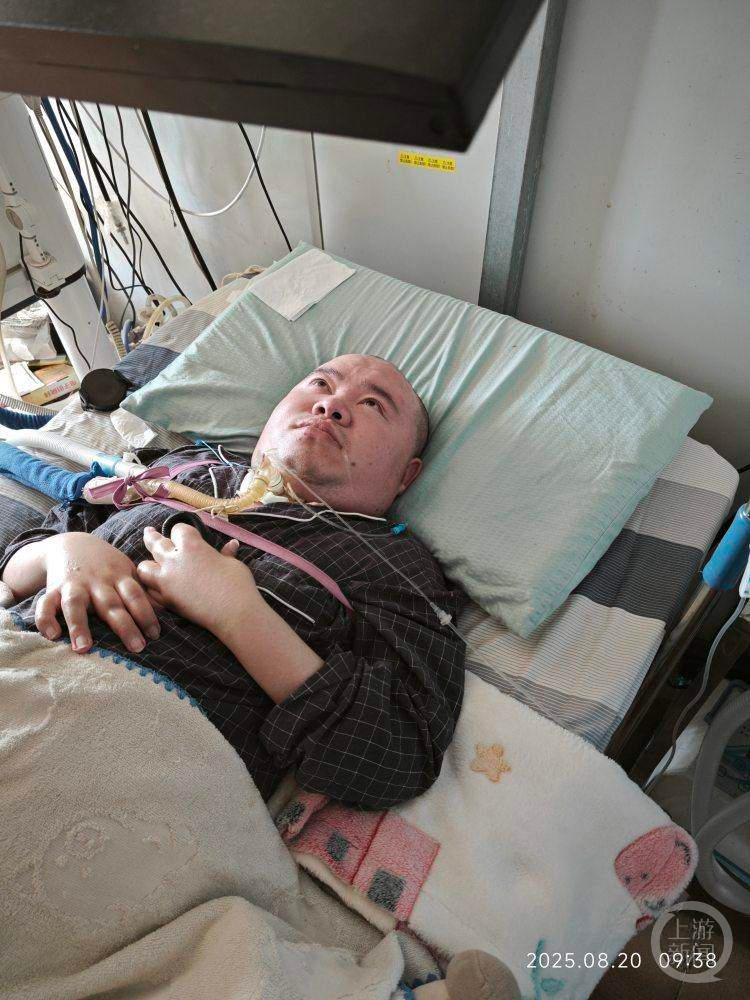 Planting methods and timing of lettuce