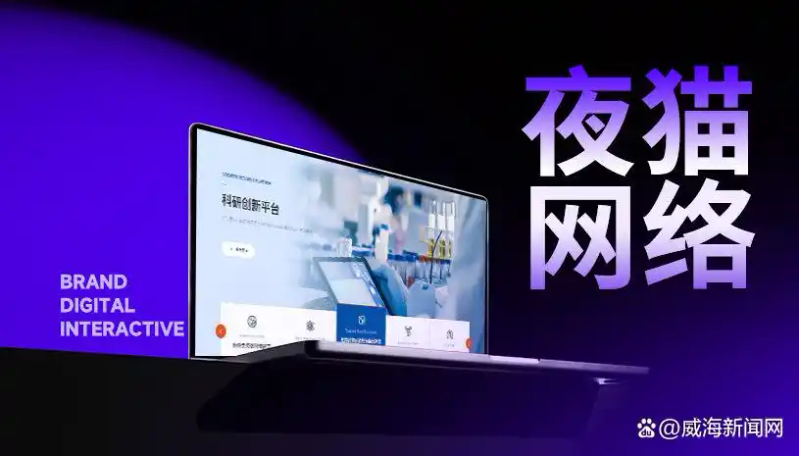 网站建设seo视频