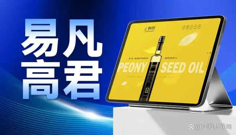 网站建设seo视频