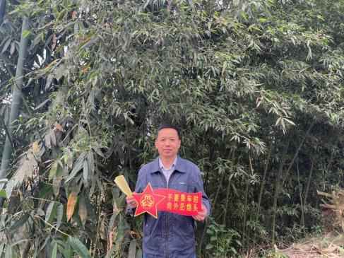 森林防火知识问答