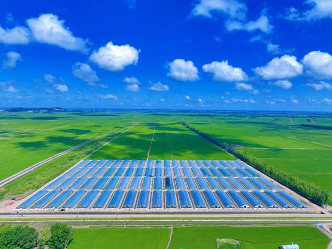 蔬菜种植技术视频