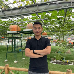 蔬菜种植技术视频