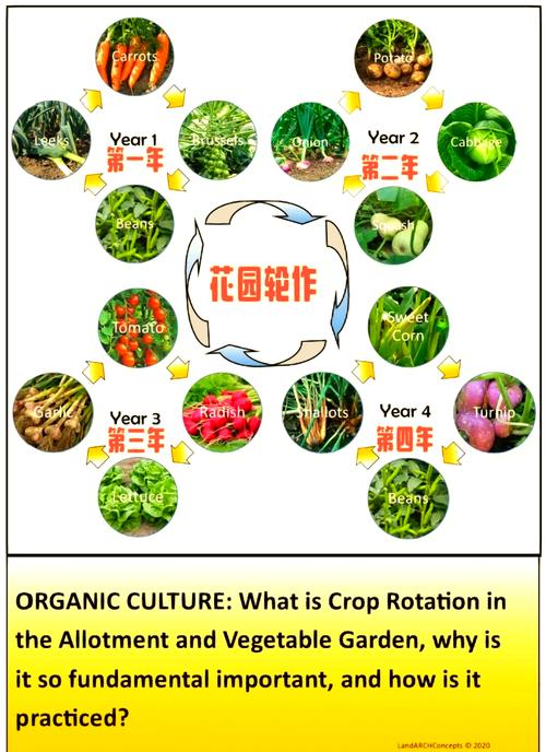 Han food farming techniques