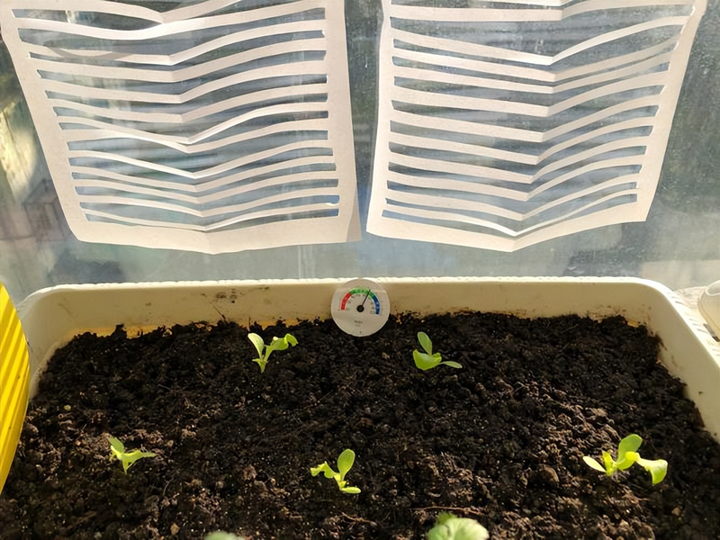 How do you grow the pots