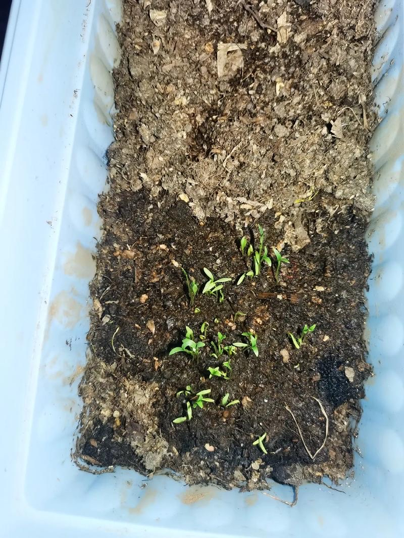 How do you grow the pots