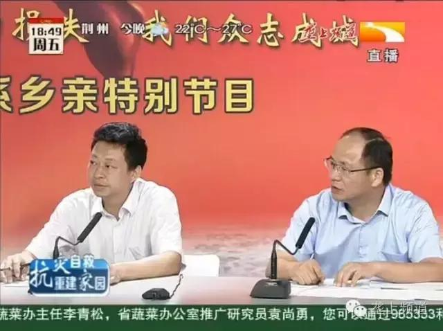 空心菜种植方法