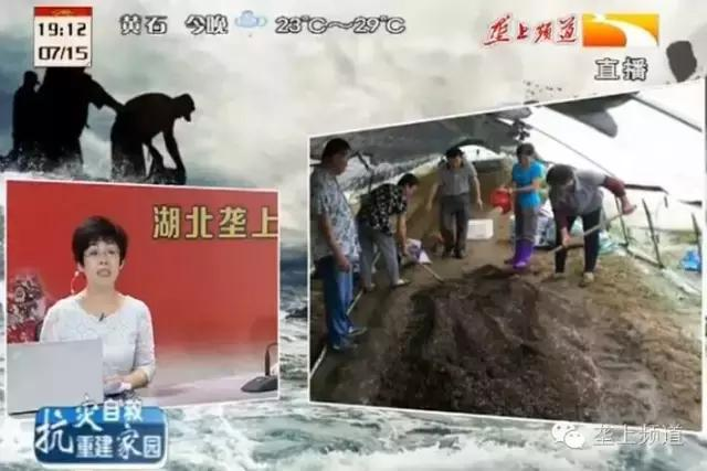 空心菜种植方法