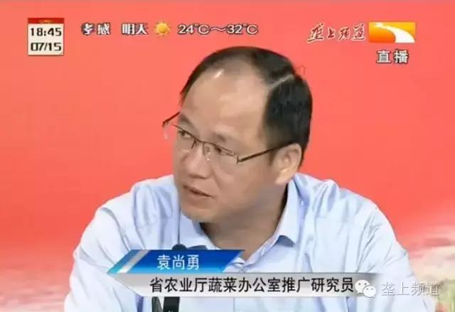 空心菜种植方法