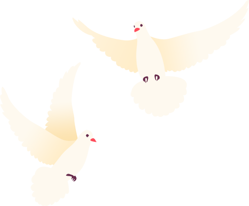 学校安全教育知识