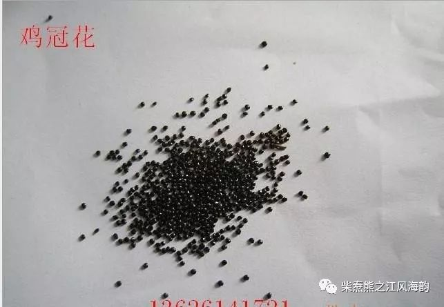 The method of growing the phoenix