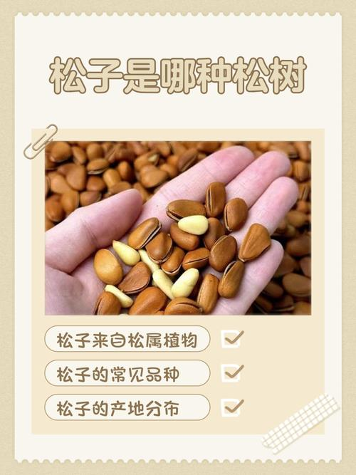 Pine seedling cultivation methods