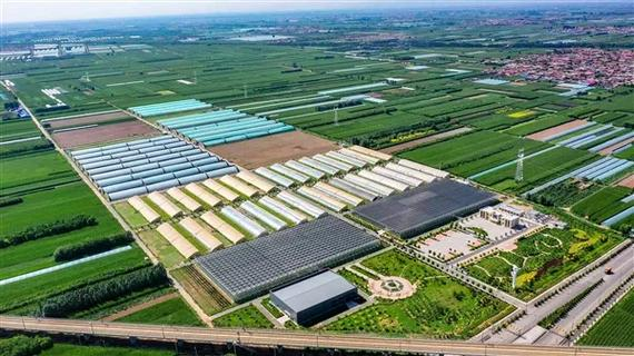 马铃薯种植技术ppt