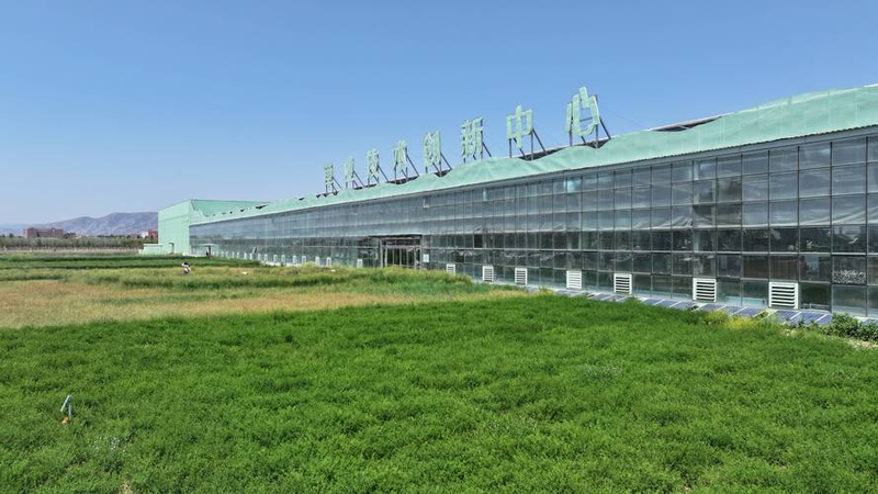 马铃薯种植技术ppt