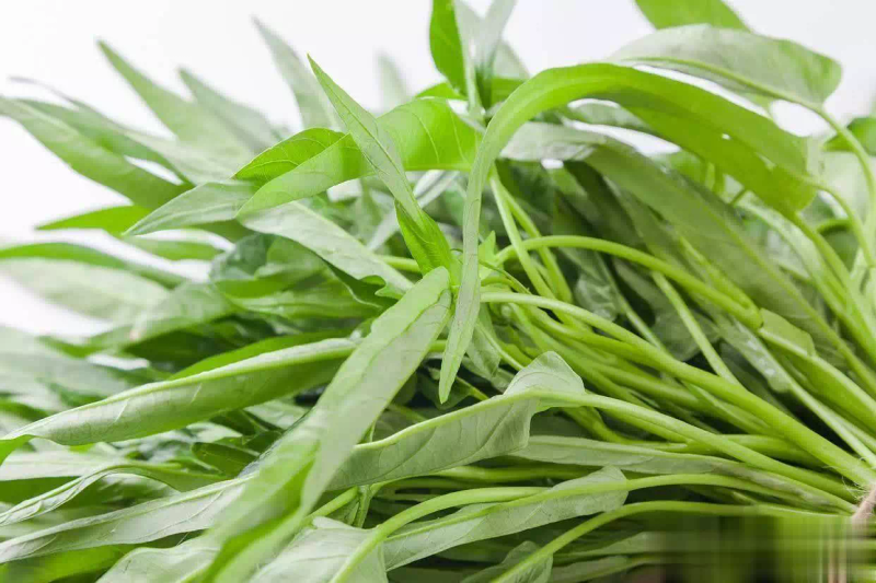 Technology for the cultivation of empty cabbage