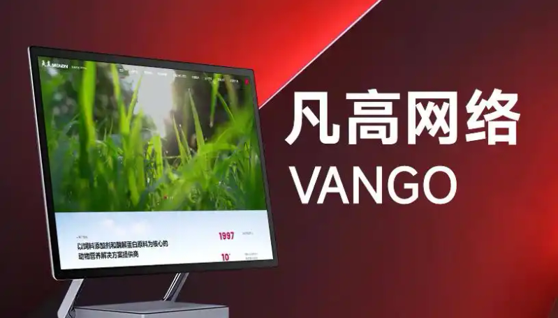 网站建设seo视频