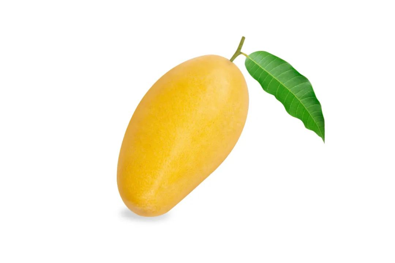 Fruit suitable for subtropical cultivation