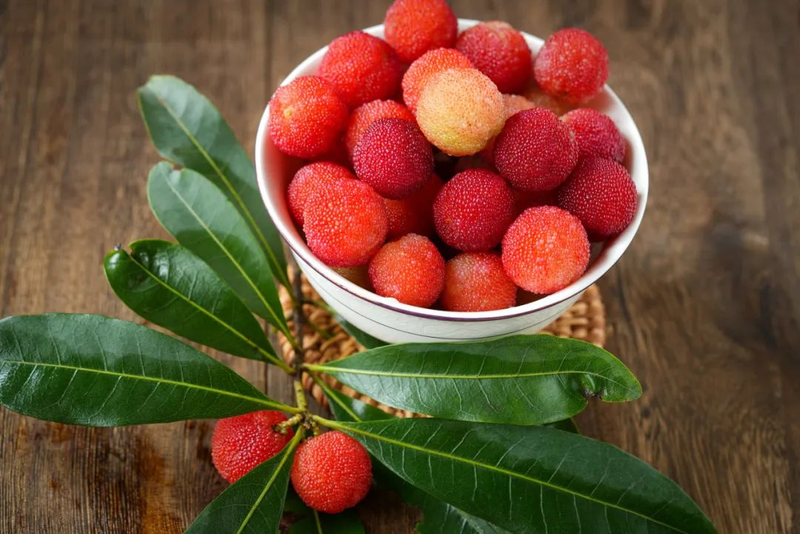 Fruit suitable for subtropical cultivation