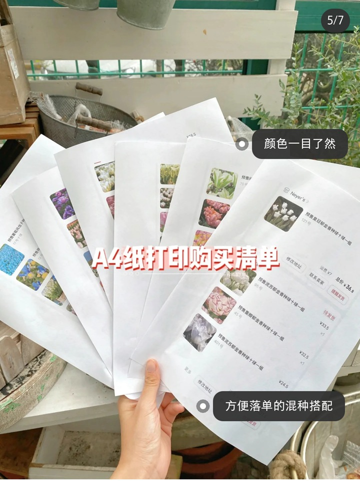 Tulip cultivation methods and techniques