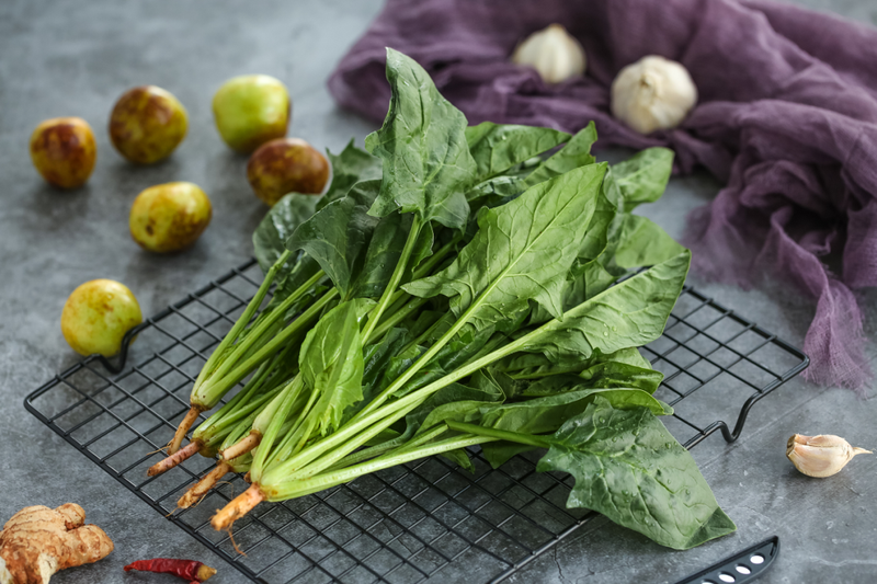How to grow spinach seeds