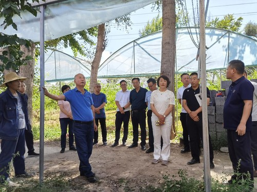 Picture of fruit tree cultivation