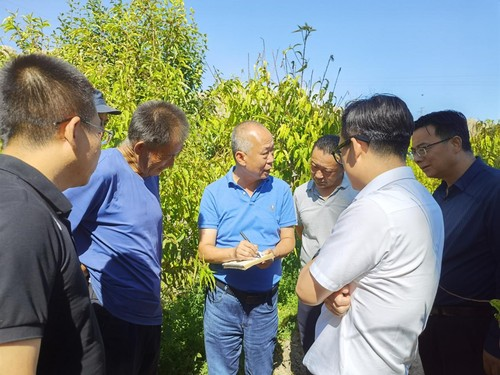 Picture of fruit tree cultivation